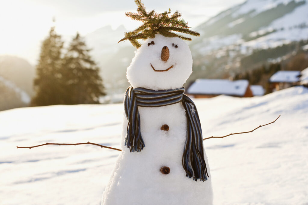 Snowman in snowy field